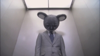 Executive Koala